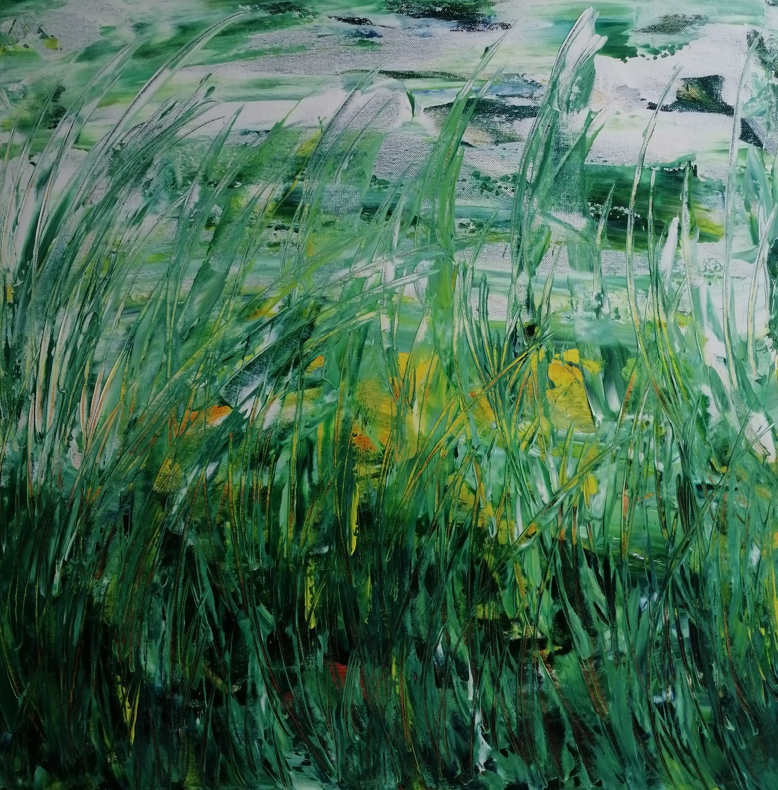 a_20241016_113640 70x70 dark e