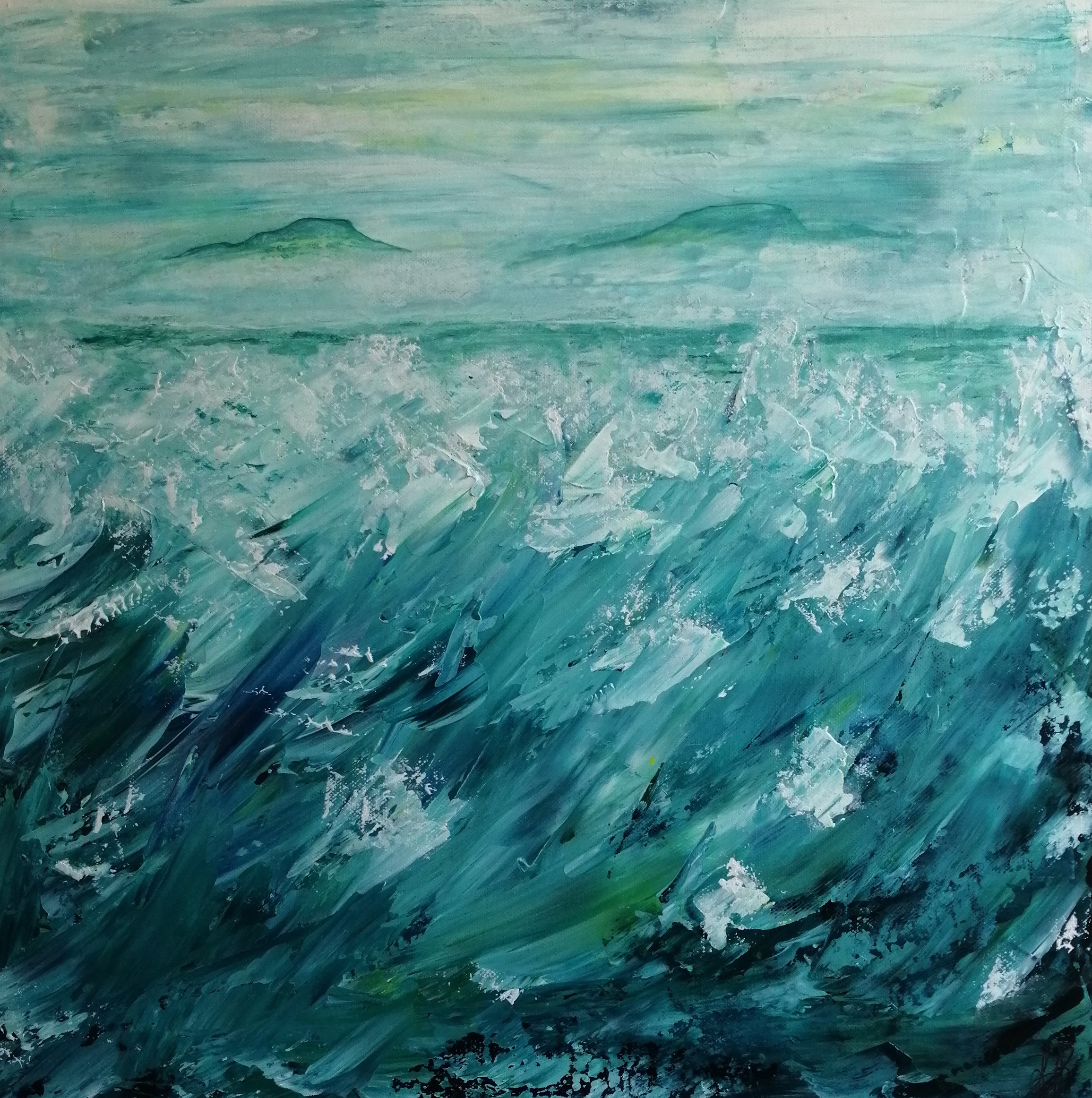 IMG_20241026_105635Distent Isles