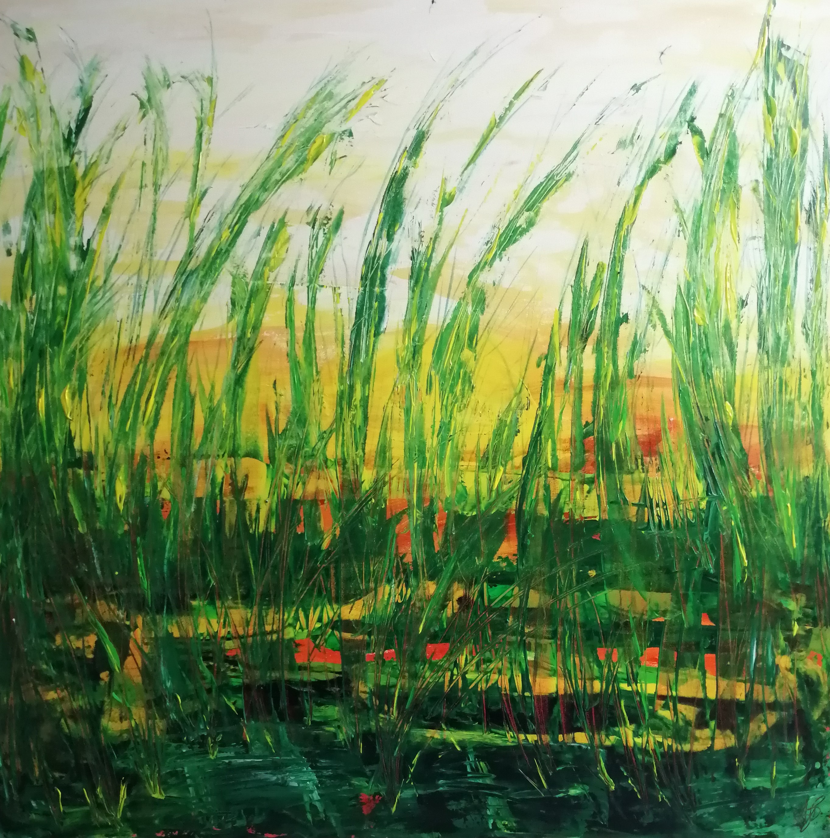 IMG_20241029_073840Warm Summer Day e 2